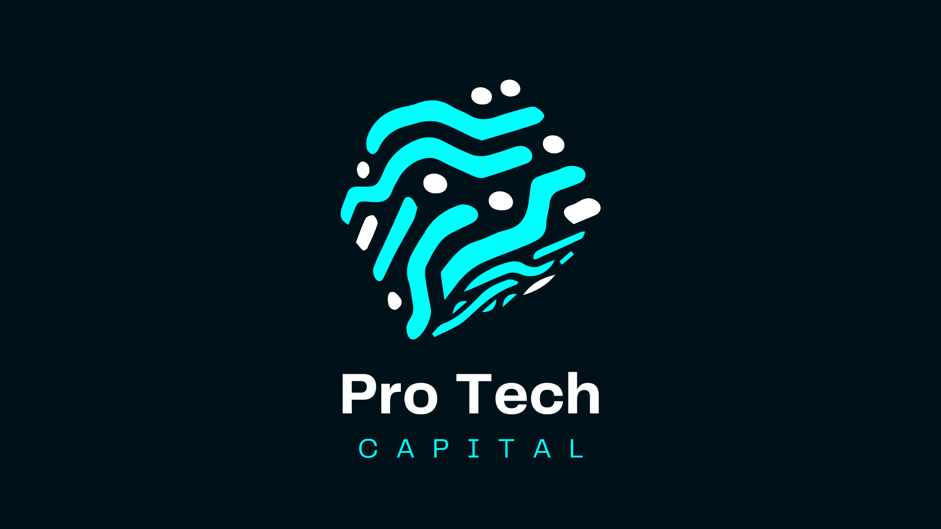 Pro Tech Capital